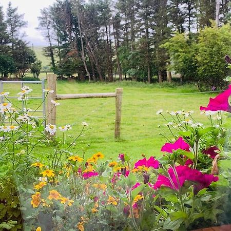 Glen Keen Farm Cottage Louisburgh Ngoại thất bức ảnh
