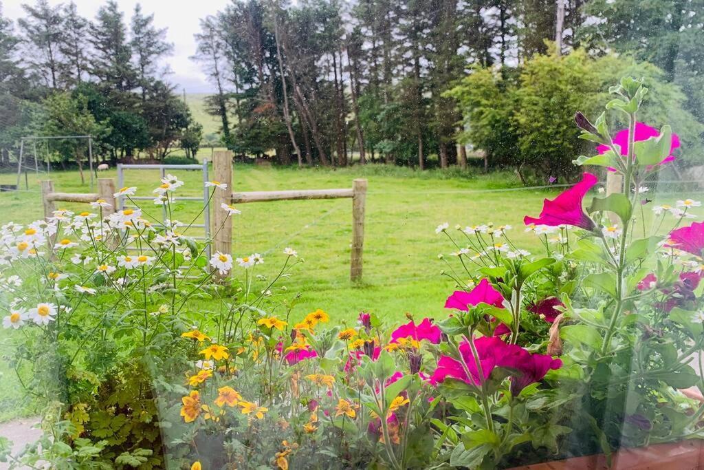 Glen Keen Farm Cottage Louisburgh Ngoại thất bức ảnh